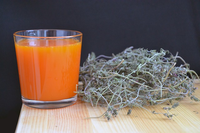 Olej z rakytníka nahradí všetky výživové doplnky a vitamíny